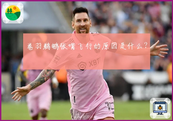 卷羽鹈鹕张嘴飞行的原因是什么?