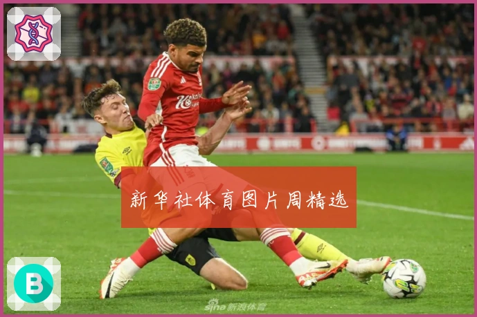 新华社体育图片周精选